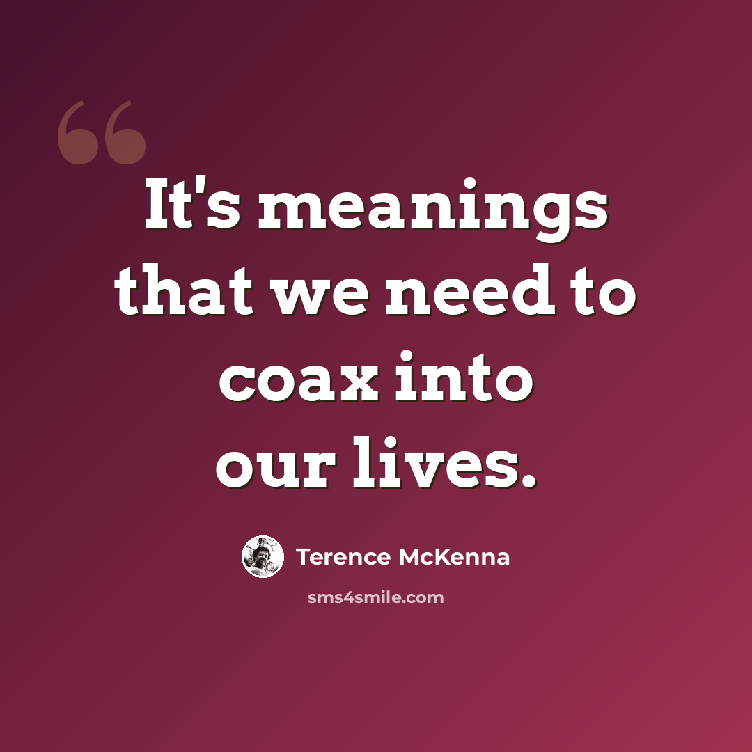 “It's meanings that we need to coax into our lives.” quote by Terence McKenna