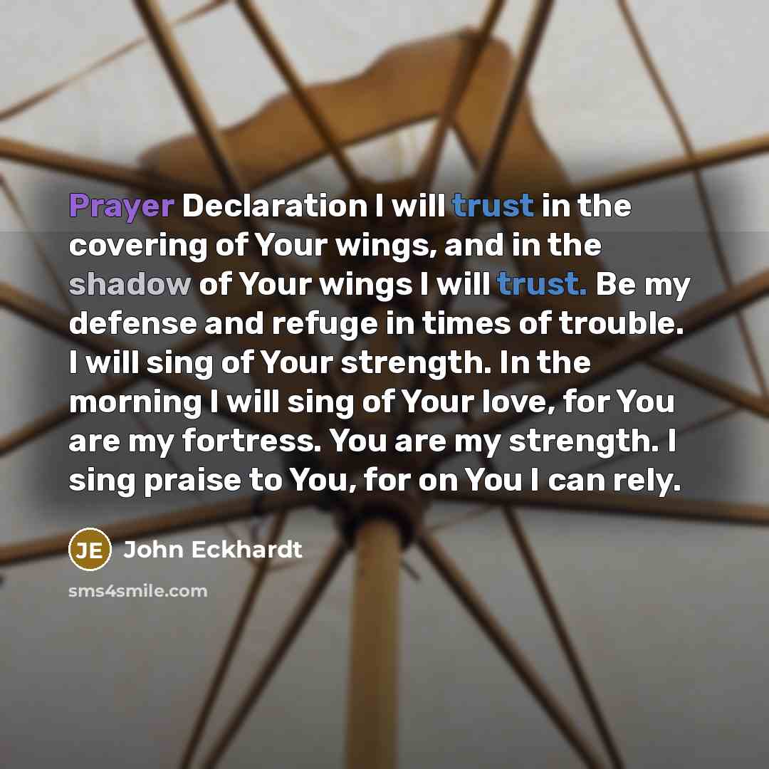 “Prayer Declaration I will trust in the covering of Your wings, and in the shadow of Your wings I will trust. Be my defense and refuge in times of trouble. I will sing of Your strength. In the morning I will sing of Your love, for You are my fortress. You are my strength. I sing praise to You, for…” quote by John Eckhardt