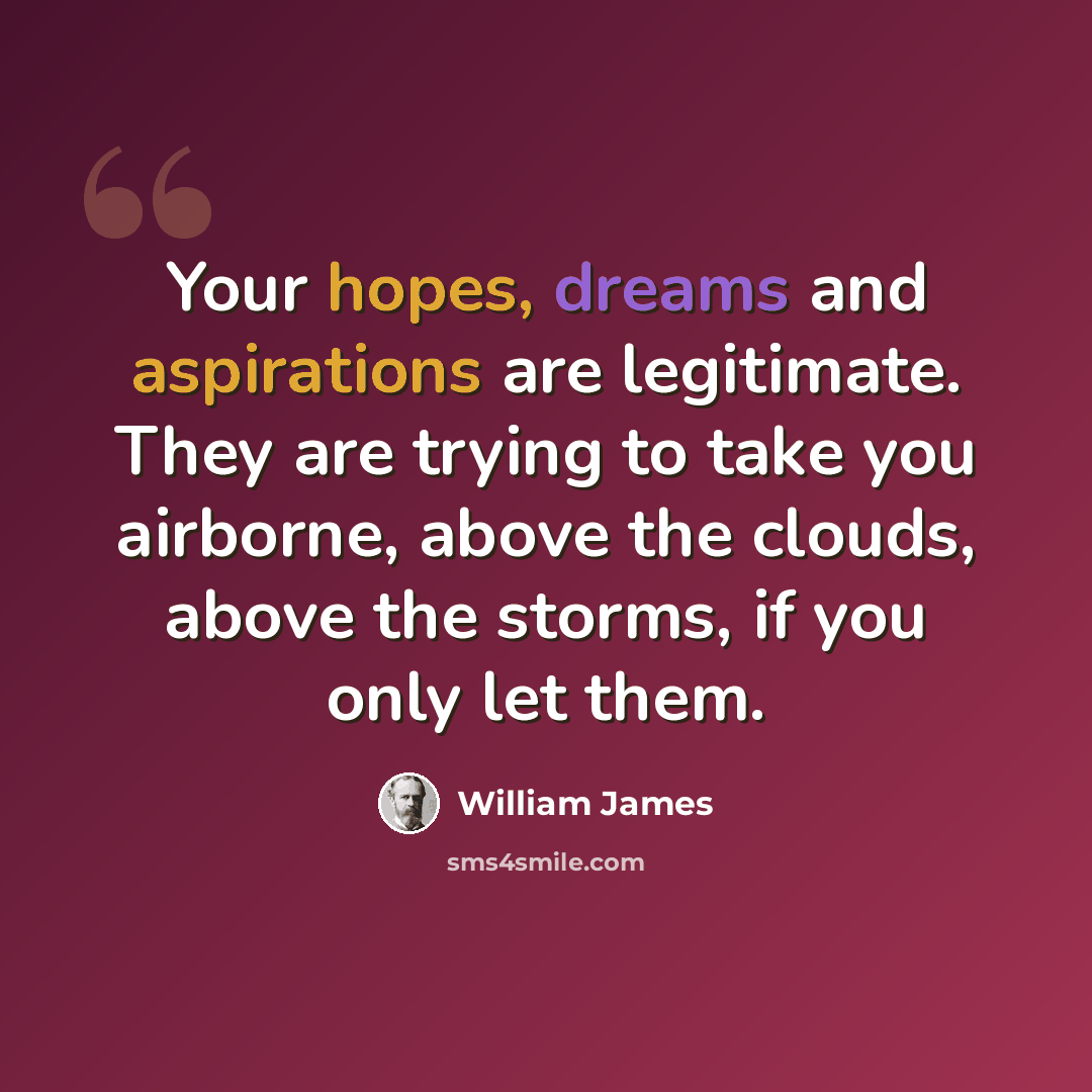 “Your hopes, dreams and aspirations are legitimate. They are trying to take you airborne, above the clouds, above the storms, if you only let them.” quote by William James
