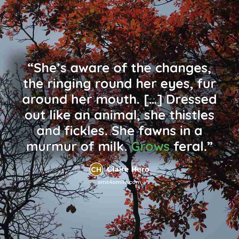 “She’s aware of the changes, the ringing round her eyes, fur around her mouth. […] Dressed out like an animal, she thistles and fickles. She fawns in a murmur of milk. Grows feral.” quote by Claire Hero