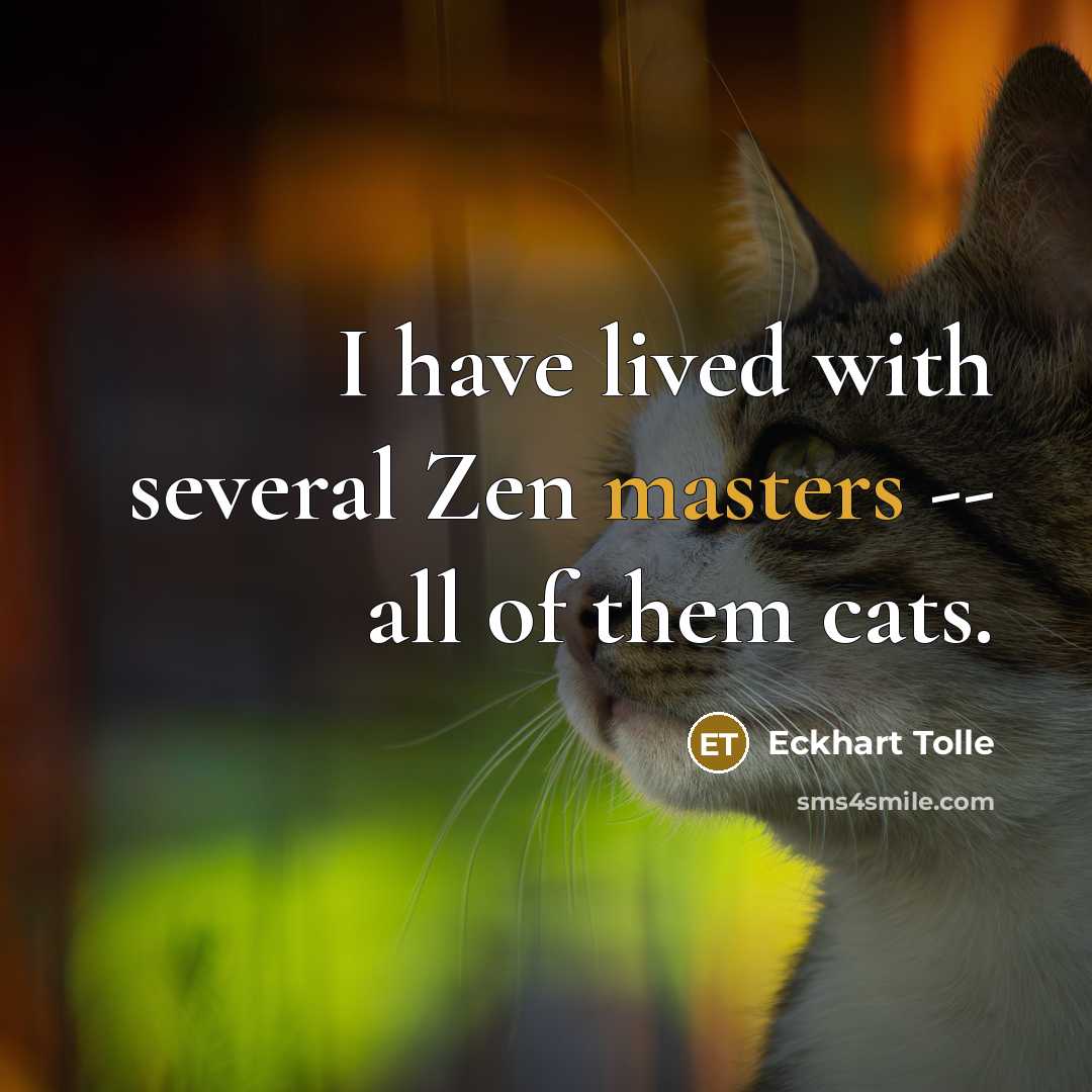 “I have lived with several Zen masters -- all of them cats.” quote by Eckhart Tolle