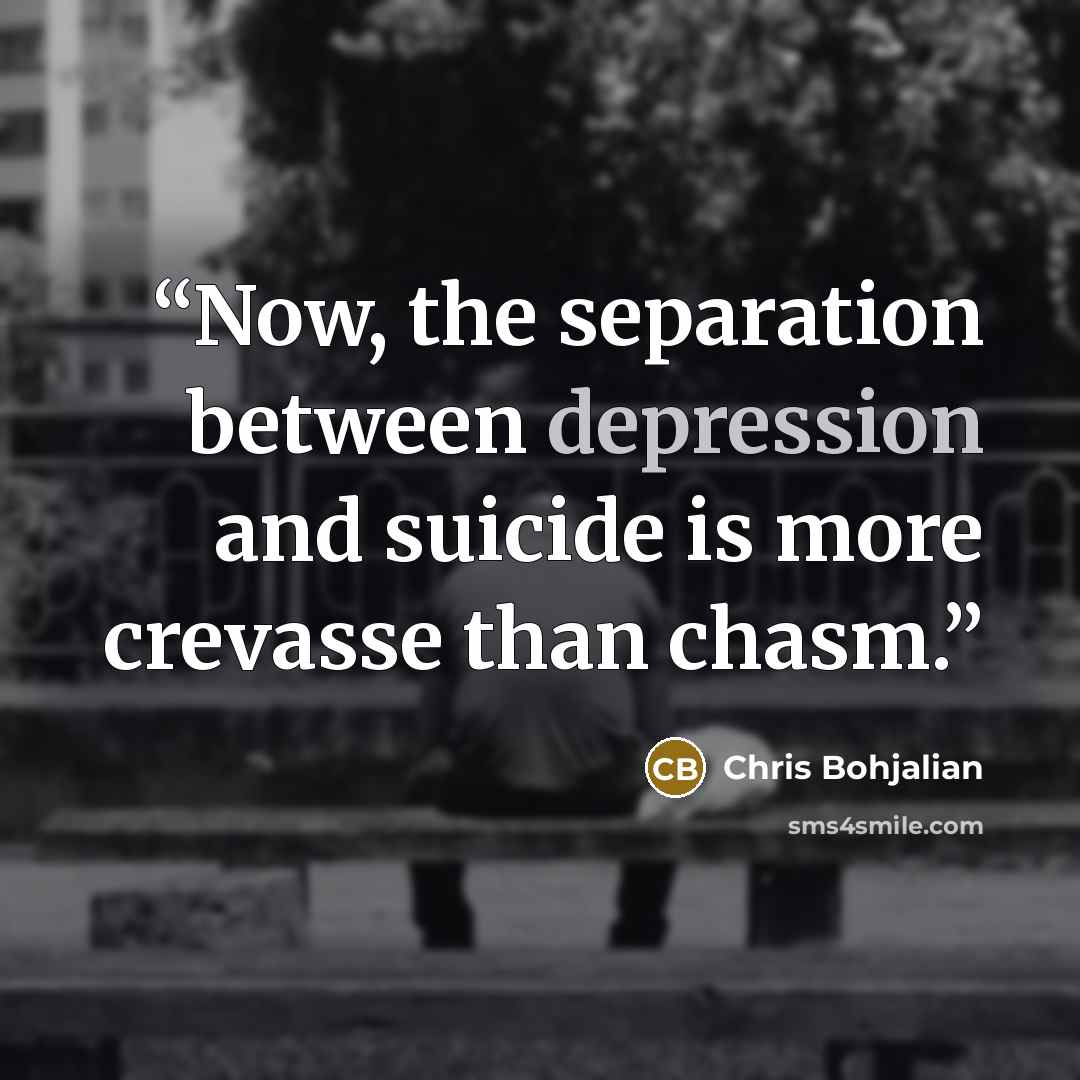 “Now, the separation between depression and suicide is more crevasse than chasm.” quote by Chris Bohjalian
