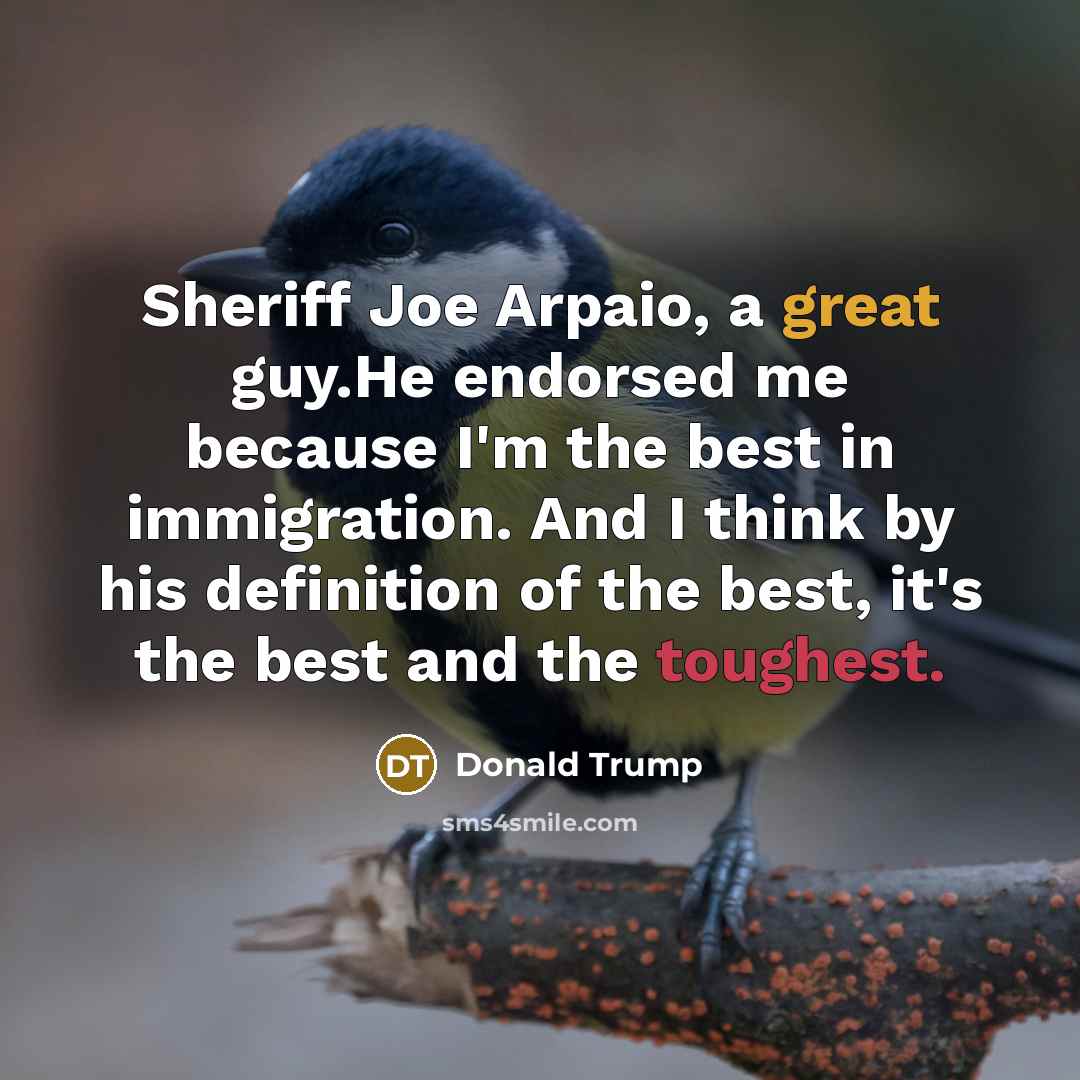“Sheriff Joe Arpaio, a great guy.He endorsed me because I'm the best in immigration. And I think by his definition of the best, it's the best and the toughest.” quote by Donald Trump
