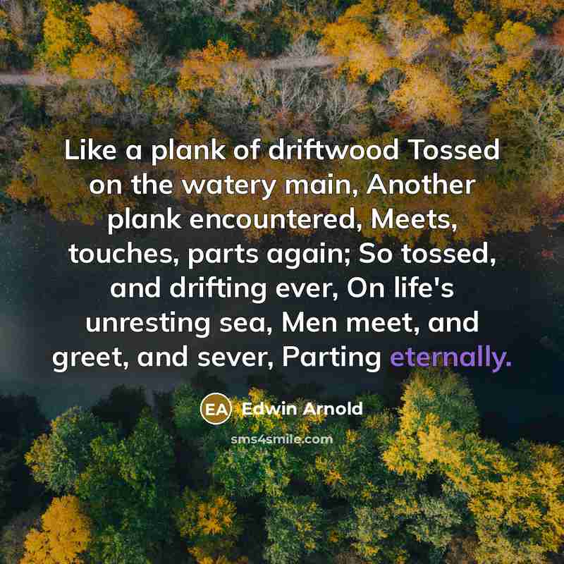 “Like a plank of driftwood Tossed on the watery main, Another plank encountered, Meets, touches, parts again; So tossed, and drifting ever, On life's unresting sea, Men meet, and greet, and sever, Parting eternally.” quote by Edwin Arnold