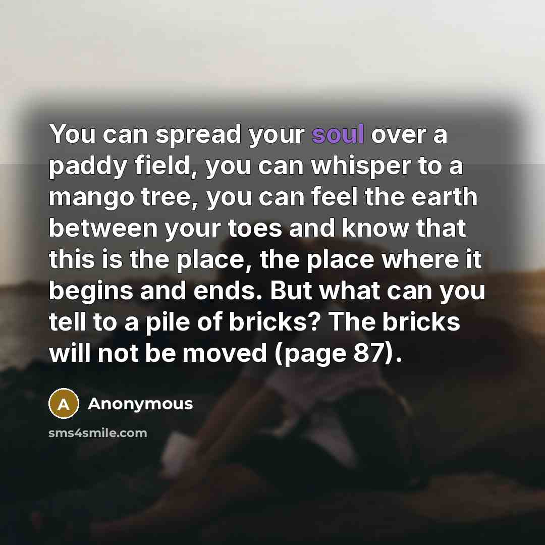 “You can spread your soul over a paddy field, you can whisper to a mango tree, you can feel the earth between your toes and know that this is the place, the place where it begins and ends. But what can you tell to a pile of bricks? The bricks will not be moved (page 87).” quote by Anonymous