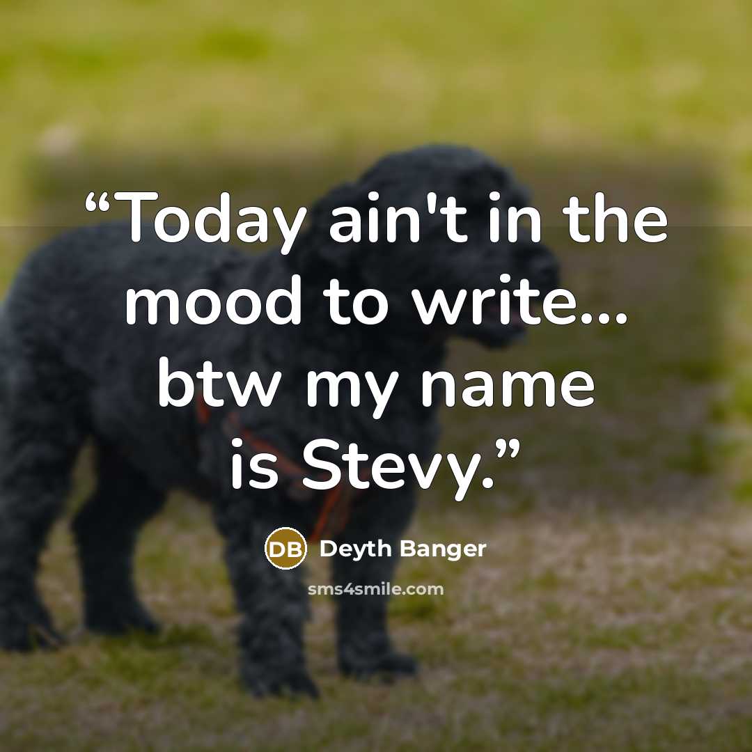 “Today ain't in the mood to write... btw my name is Stevy.﻿” quote by Deyth Banger