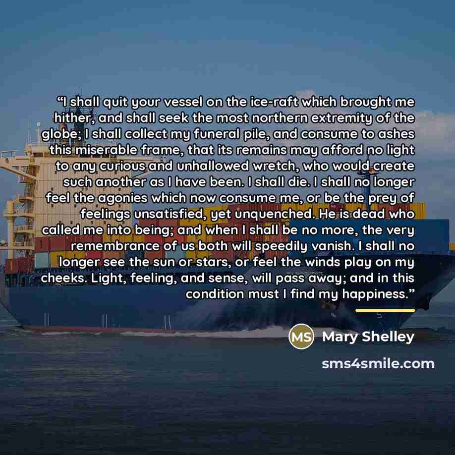 “I shall quit your vessel on the ice-raft which brought me hither, and shall seek the most northern extremity of the globe; I shall collect my funeral pile, and consume to ashes this miserable frame, that its remains may afford no light to any curious and unhallowed wretch, who would create such…” quote by Mary Shelley