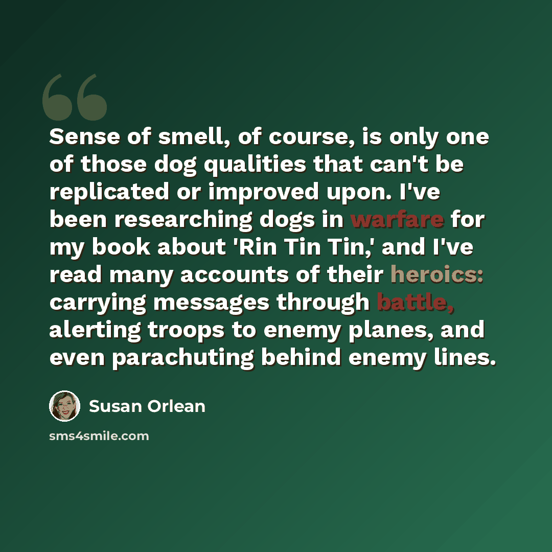 “Sense of smell, of course, is only one of those dog qualities that can't be replicated or improved upon. I've been researching dogs in warfare for my book about 'Rin Tin Tin,' and I've read many accounts of their heroics: carrying messages through battle, alerting troops to enemy planes, and even…” quote by Susan Orlean