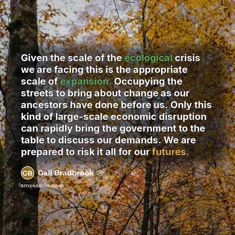 “Given the scale of the ecological crisis we are facing this is the appropriate scale of expansion. Occupying the streets to bring about change as our ancestors have done before us. Only this kind of large-scale economic disruption can rapidly bring the government to the table to discuss our…” quote by Gail Bradbrook