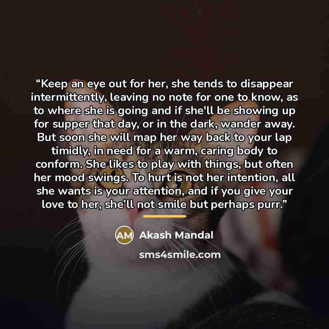 “Keep an eye out for her, she tends to disappear intermittently, leaving no note for one to know, as to where she is going and if she'll be showing up for supper that day, or in the dark, wander away. But soon she will map her way back to your lap timidly, in need for a warm, caring body to…” quote by Akash Mandal