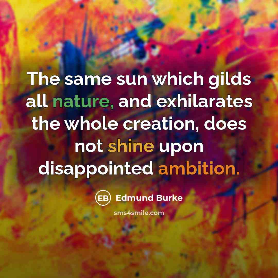 “The same sun which gilds all nature, and exhilarates the whole creation, does not shine upon disappointed ambition.” quote by Edmund Burke