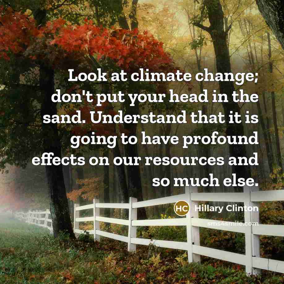 “Look at climate change; don't put your head in the sand. Understand that it is going to have profound effects on our resources and so much else.” quote by Hillary Clinton