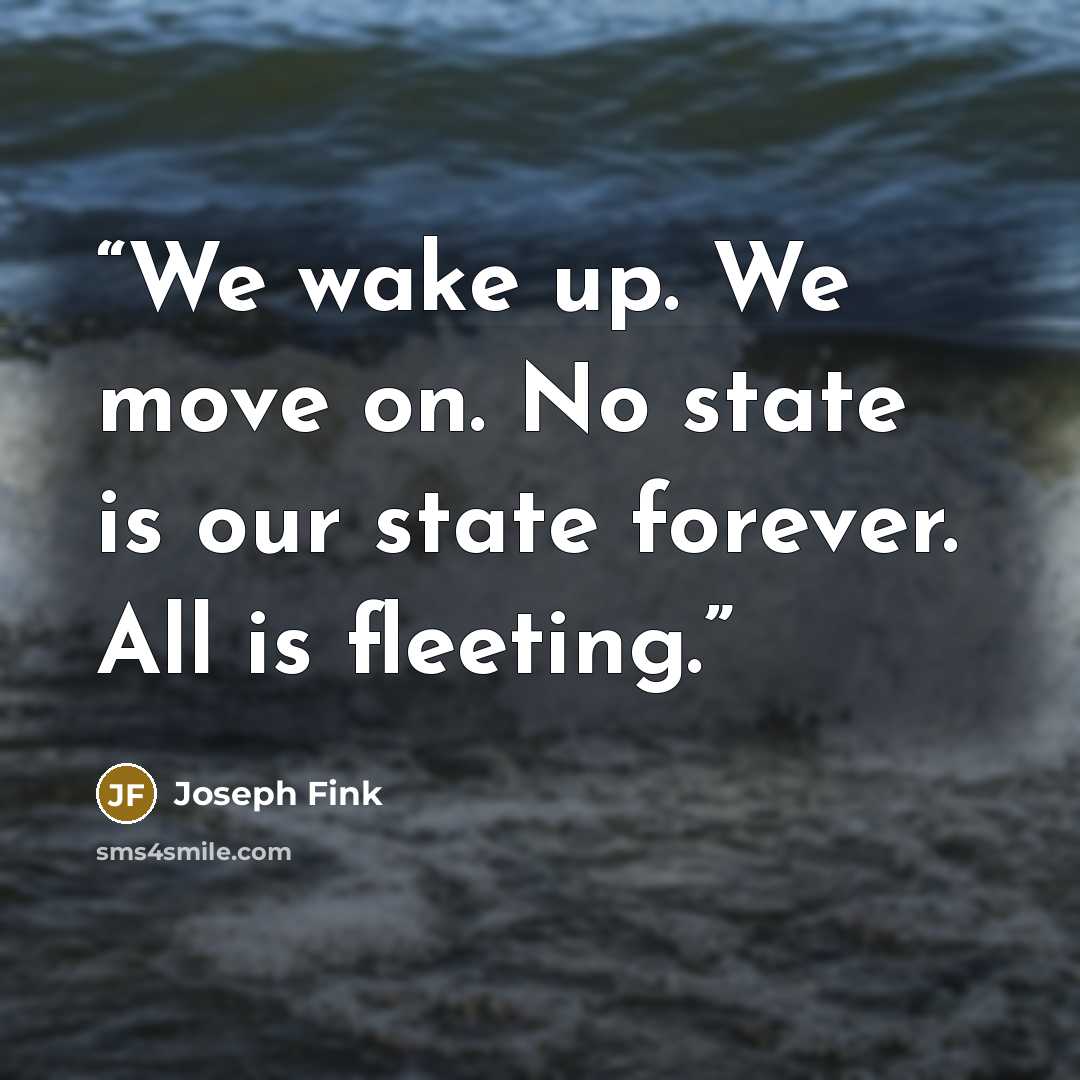 “We wake up. We move on. No state is our state forever. All is fleeting.” quote by Joseph Fink