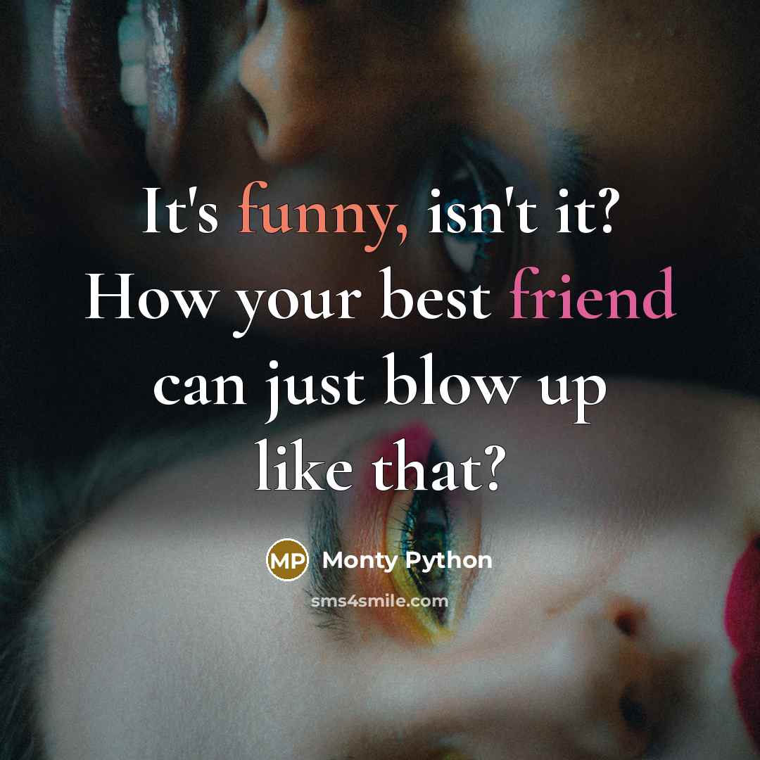 “It's funny, isn't it? How your best friend can just blow up like that?” quote by Monty Python