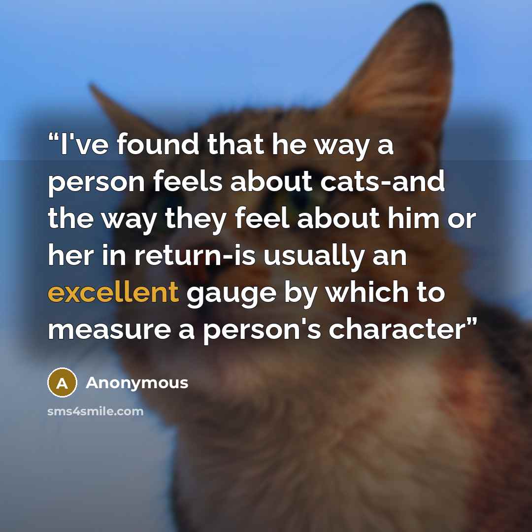 “I've found that he way a person feels about cats-and the way they feel about him or her in return-is usually an excellent gauge by which to measure a person's character” quote by Anonymous