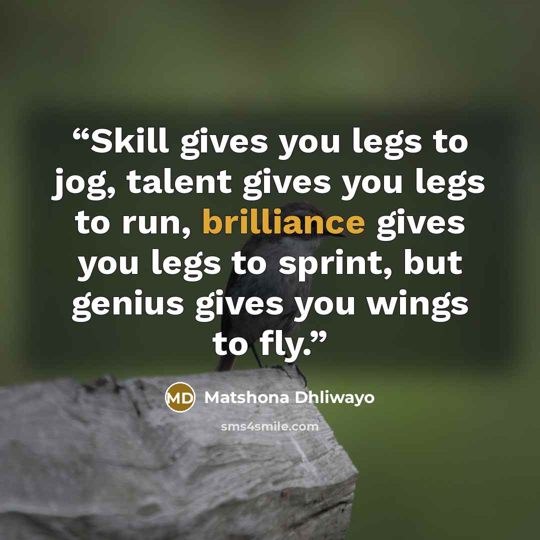 “Skill gives you legs to jog, talent gives you legs to run, brilliance gives you legs to sprint, but genius gives you wings to fly.” quote by Matshona Dhliwayo