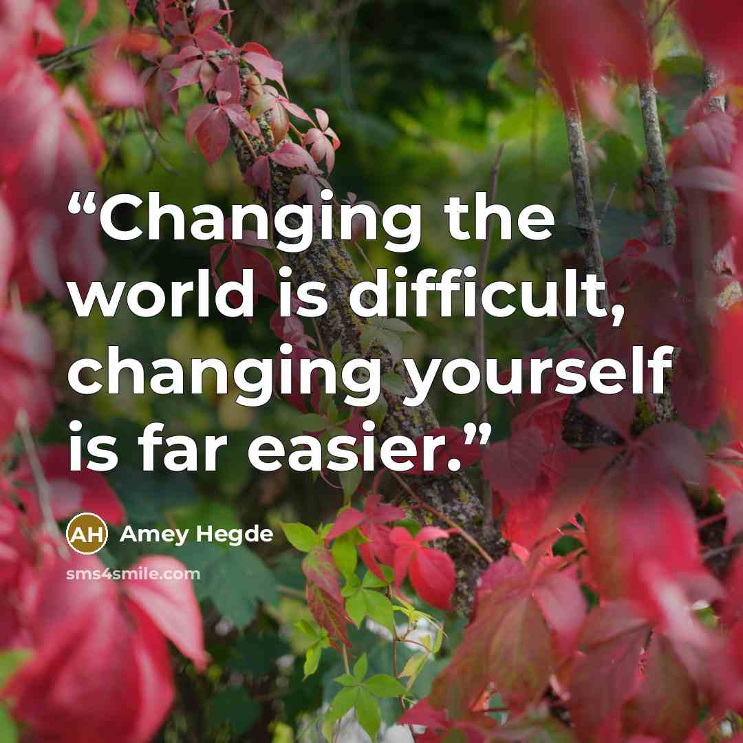 “Changing the world is difficult, changing yourself is far easier.” quote by Amey Hegde