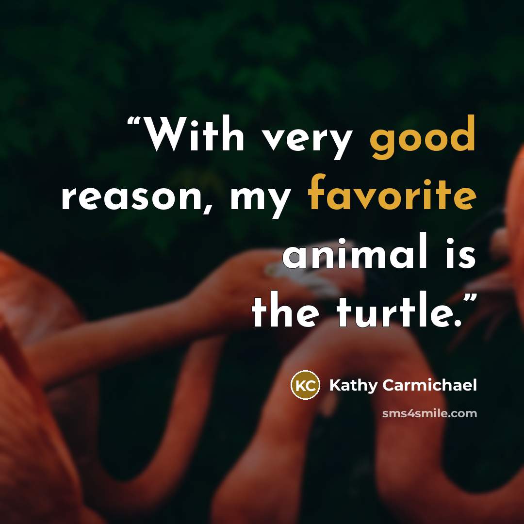 “With very good reason, my favorite animal is the turtle.” quote by Kathy Carmichael