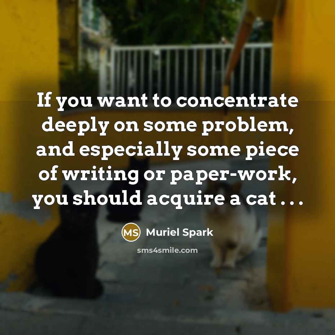 “If you want to concentrate deeply on some problem, and especially some piece of writing or paper-work, you should acquire a cat . . .” quote by Muriel Spark