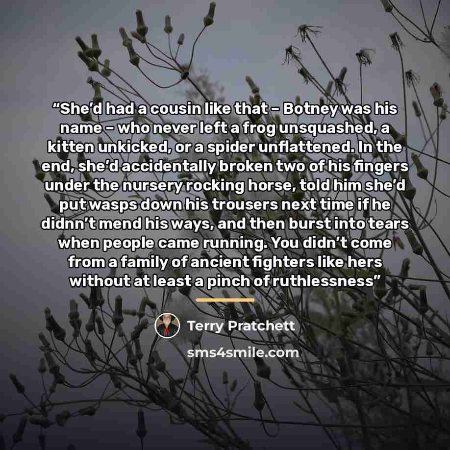 “She’d had a cousin like that – Botney was his name – who never left a frog unsquashed, a kitten unkicked, or a spider unflattened. In the end, she’d accidentally broken two of his fingers under the nursery rocking horse, told him she’d put wasps down his trousers next time if he didnn’t mend his…” quote by Terry Pratchett
