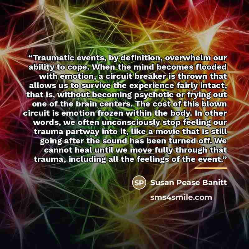 “Traumatic events, by definition, overwhelm our ability to cope. When the mind becomes flooded with emotion, a circuit breaker is thrown that allows us to survive the experience fairly intact, that is, without becoming psychotic or frying out one of the brain centers. The cost of this blown circuit…” quote by Susan Pease Banitt