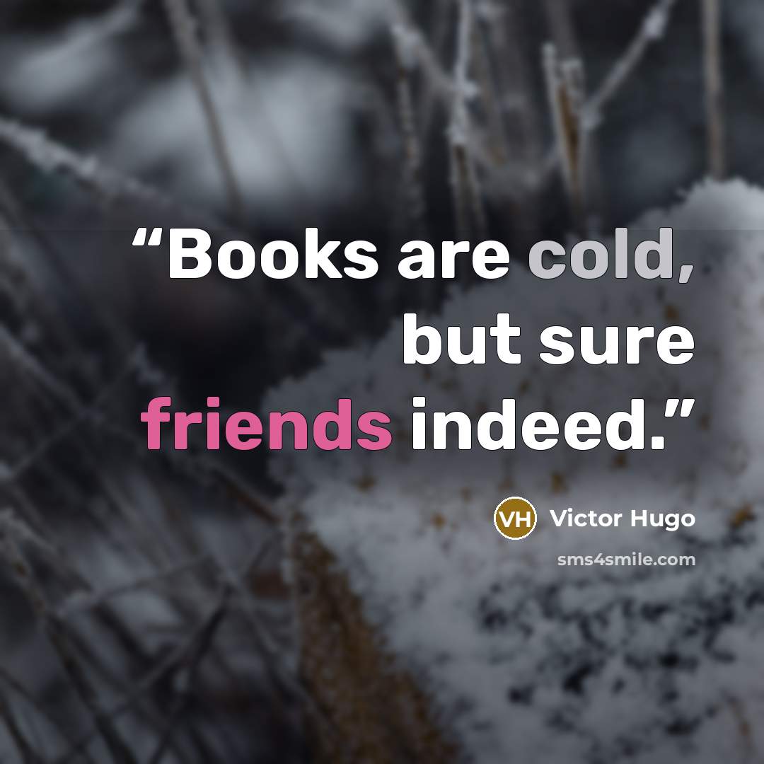 “Books are cold, but sure friends indeed.” quote by Victor Hugo