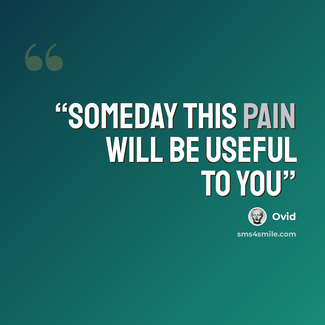 “Someday this pain will be useful to you” quote by Ovid