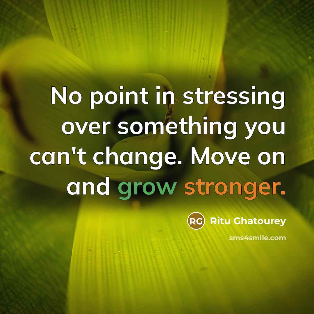 “No point in stressing over something you can't change. Move on and grow stronger.” quote by Ritu Ghatourey