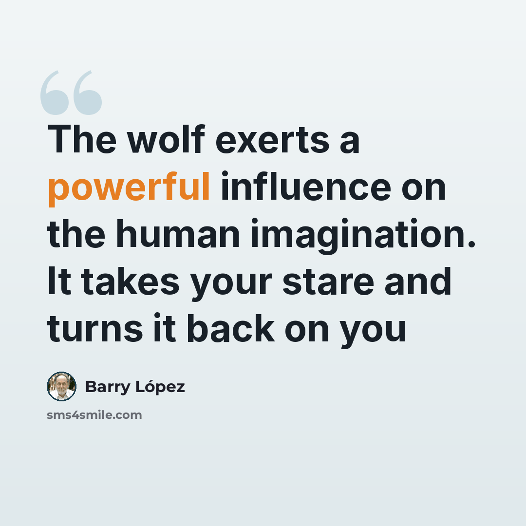 “The wolf exerts a powerful influence on the human imagination. It takes your stare and turns it back on you” quote by Barry Lopez