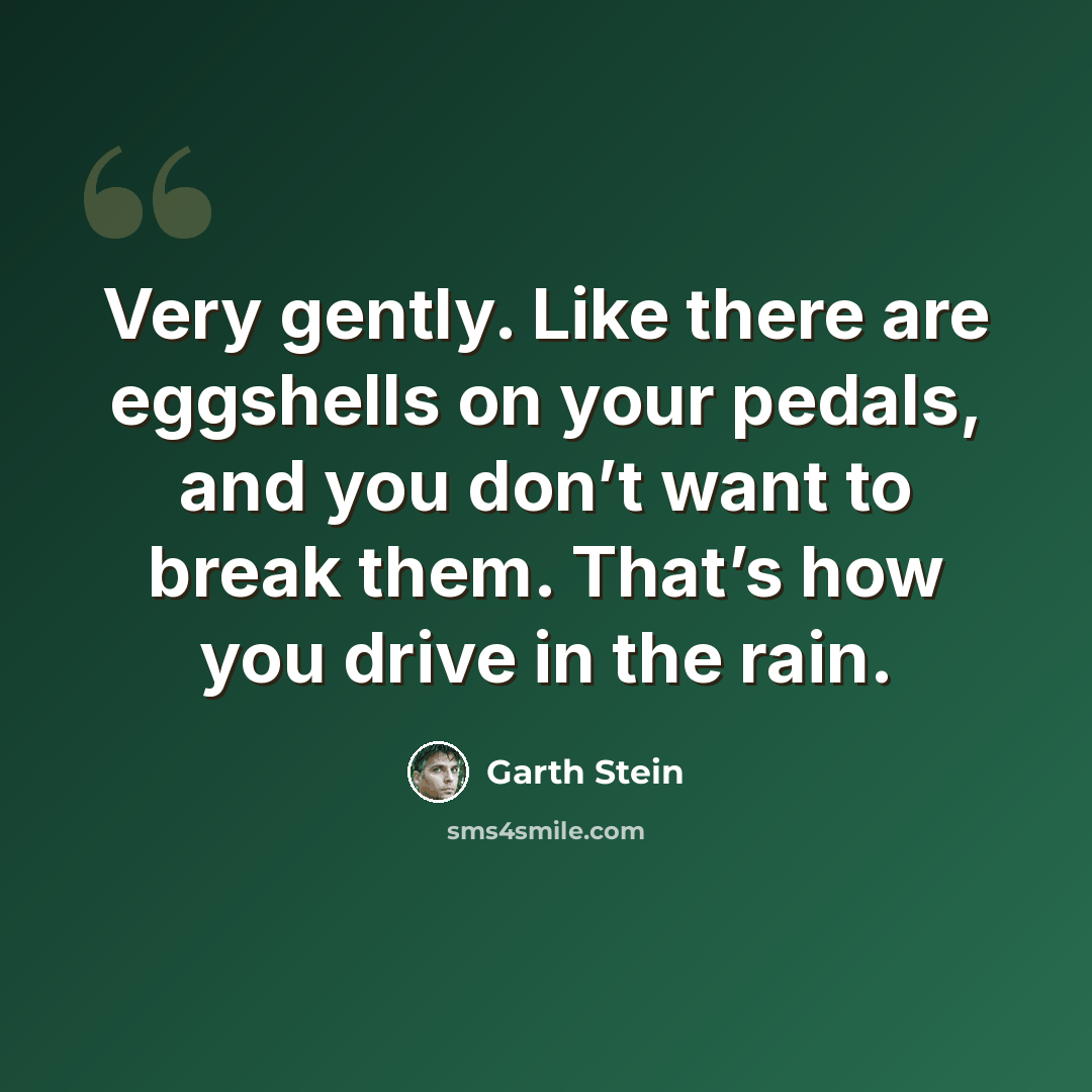 “Very gently. Like there are eggshells on your pedals, and you don’t want to break them. That’s how you drive in the rain.” quote by Garth Stein