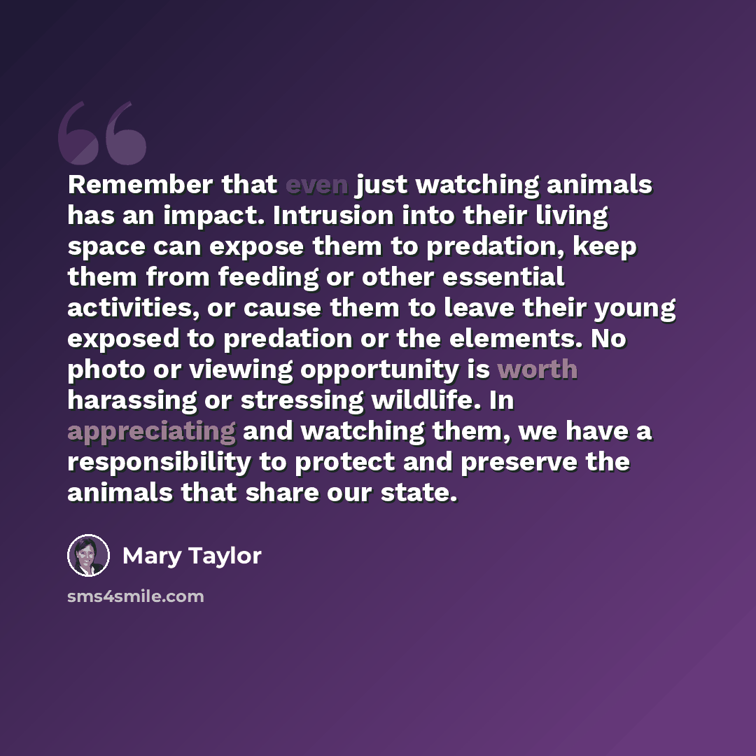 “Remember that even just watching animals has an impact. Intrusion into their living space can expose them to predation, keep them from feeding or other essential activities, or cause them to leave their young exposed to predation or the elements. No photo or viewing opportunity is worth harassing…” quote by Mary Taylor