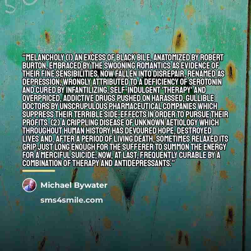 “Melancholy (1) An excess of black bile, anatomized by Robert Burton, embraced by the swooning Romantics as evidence of their fine sensibilities, now fallen into disrepair, renamed as depression, wrongly attributed to a deficiency of serotonin and cured by infantilizing, self-indulgent 'therapy'…” quote by Michael Bywater