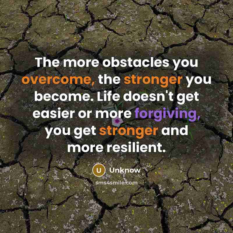 “The more obstacles you overcome, the stronger you become. Life doesn't get easier or more forgiving, you get stronger and more resilient.” quote by Unknow