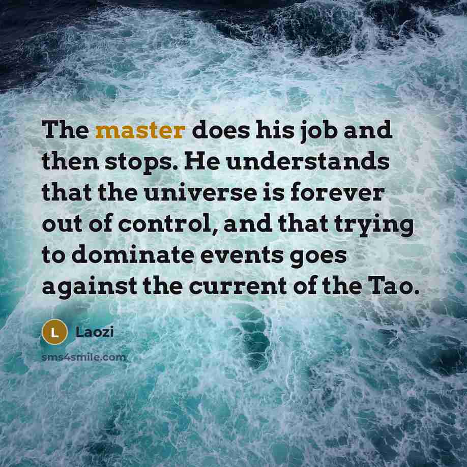 “The master does his job and then stops. He understands that the universe is forever out of control, and that trying to dominate events goes against the current of the Tao.” quote by Laozi