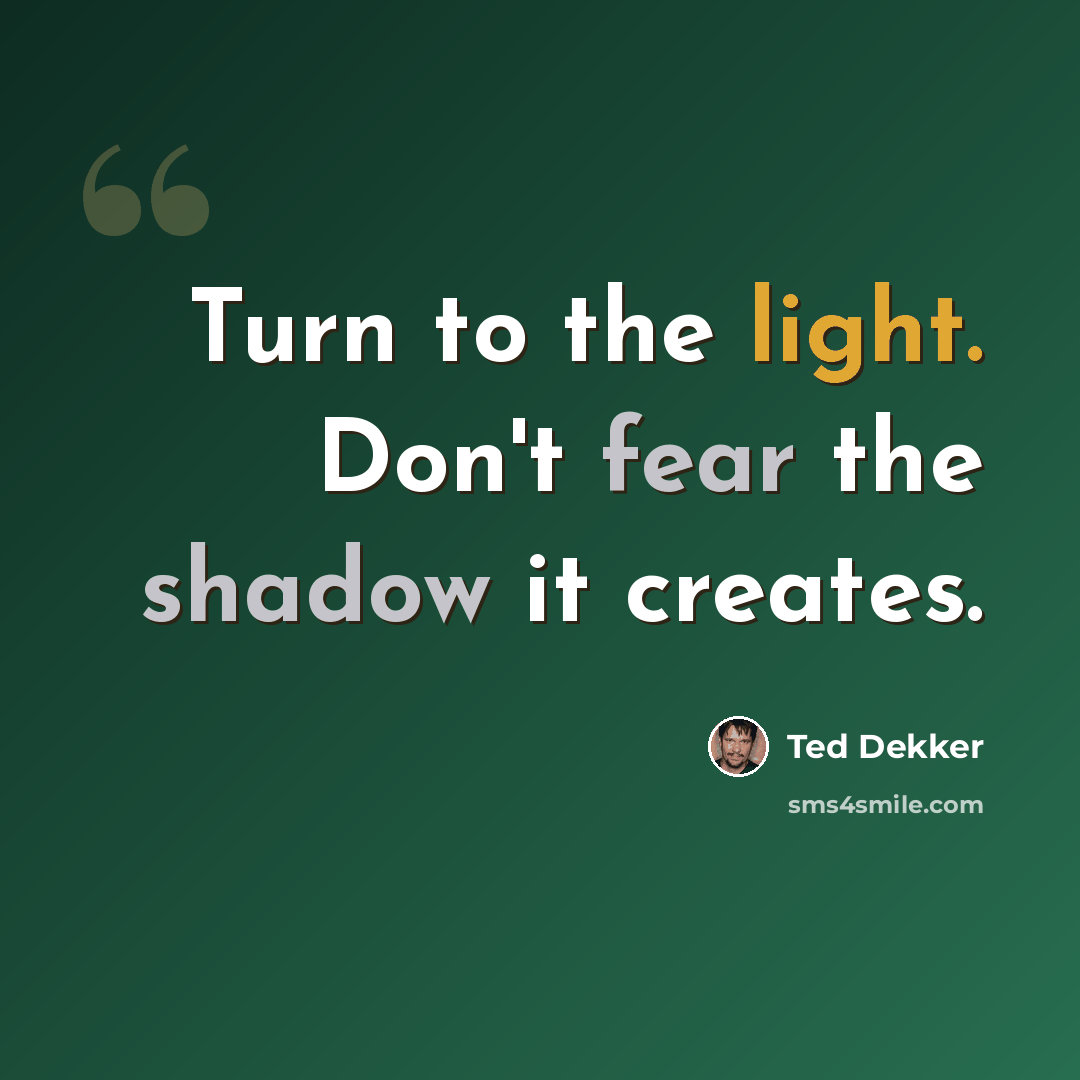 “Turn to the light. Don't fear the shadow it creates.” quote by Ted Dekker