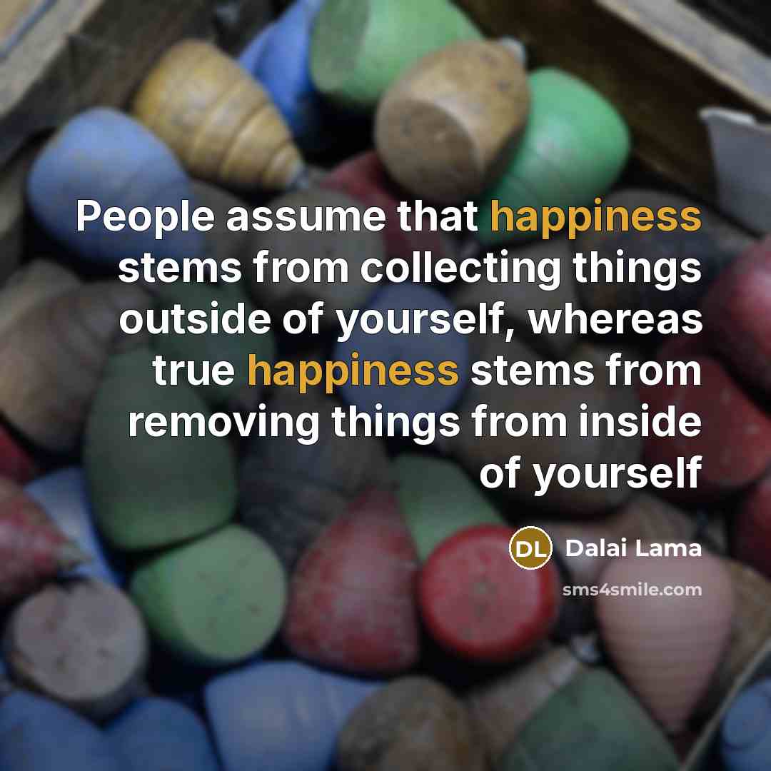 “People assume that happiness stems from collecting things outside of yourself, whereas true happiness stems from removing things from inside of yourself” quote by Dalai Lama
