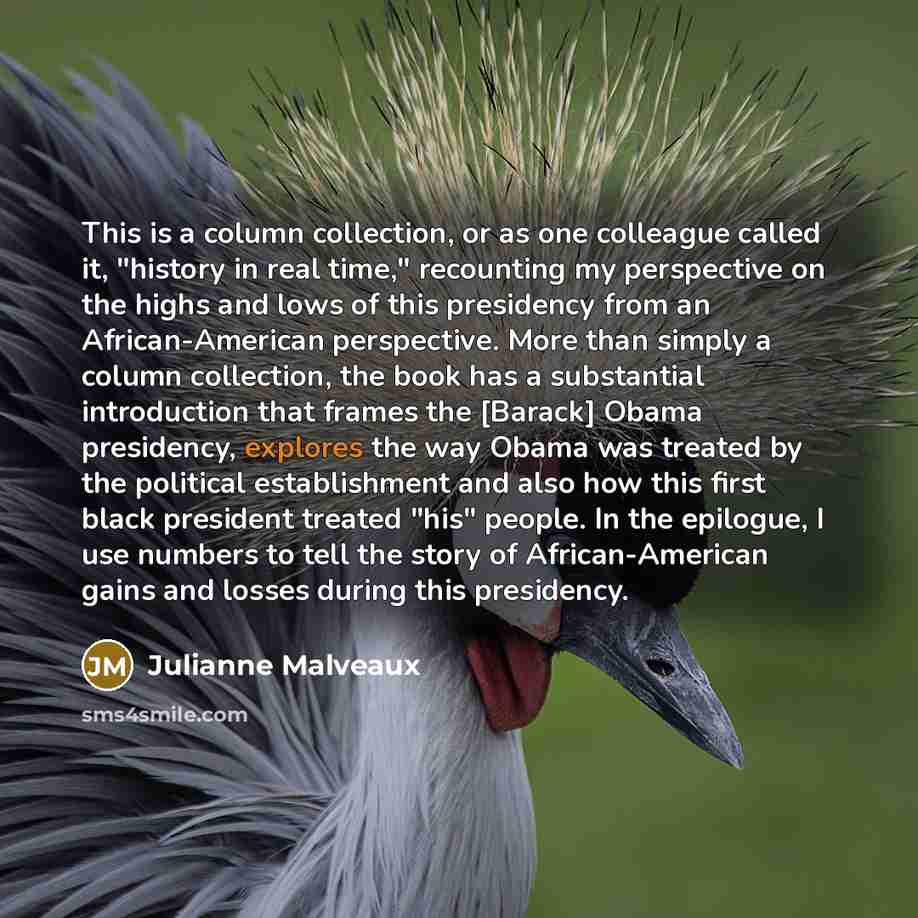 “This is a column collection, or as one colleague called it, "history in real time," recounting my perspective on the highs and lows of this presidency from an African-American perspective. More than simply a column collection, the book has a substantial introduction that frames the [Barack] Obama…” quote by Julianne Malveaux