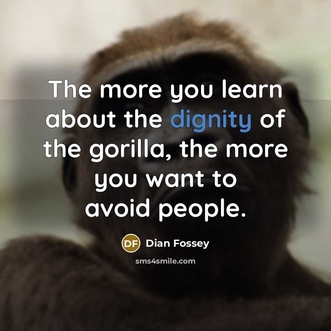 “The more you learn about the dignity of the gorilla, the more you want to avoid people.” quote by Dian Fossey