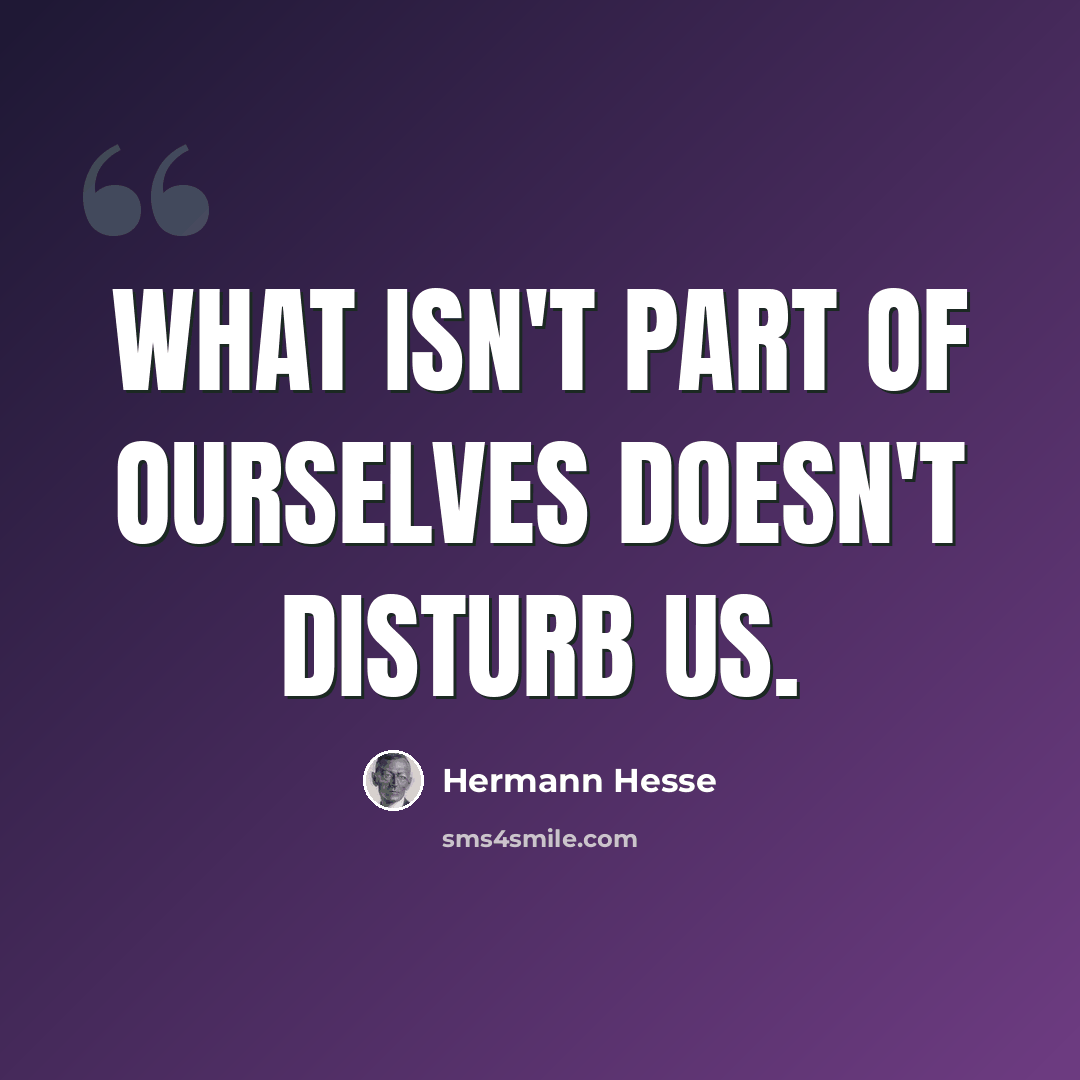 “What isn't part of ourselves doesn't disturb us.” quote by Hermann Hesse