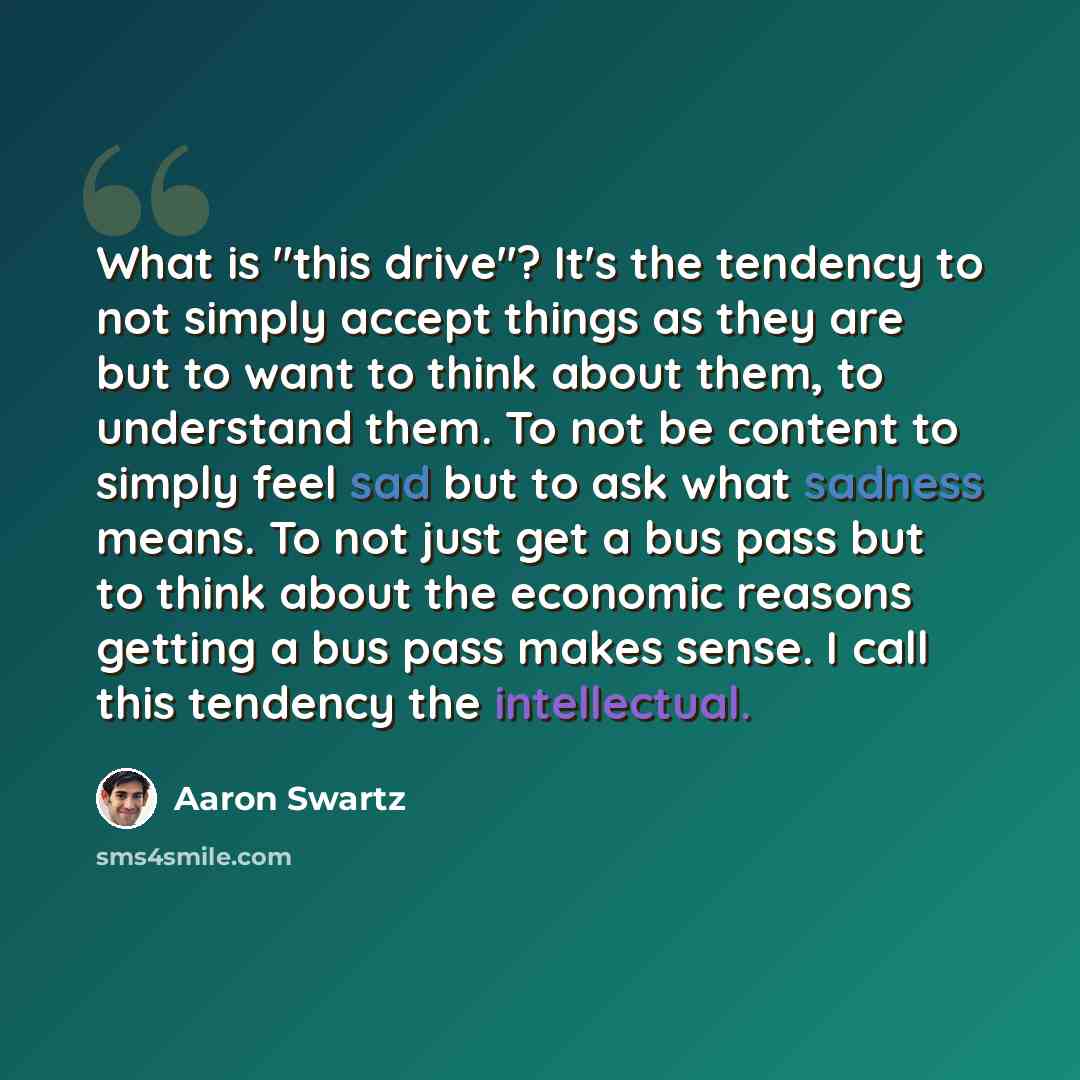 “What is "this drive"? It's the tendency to not simply accept things as they are but to want to think about them, to understand them. To not be content to simply feel sad but to ask what sadness means. To not just get a bus pass but to think about the economic reasons getting a bus pass makes…” quote by Aaron Swartz