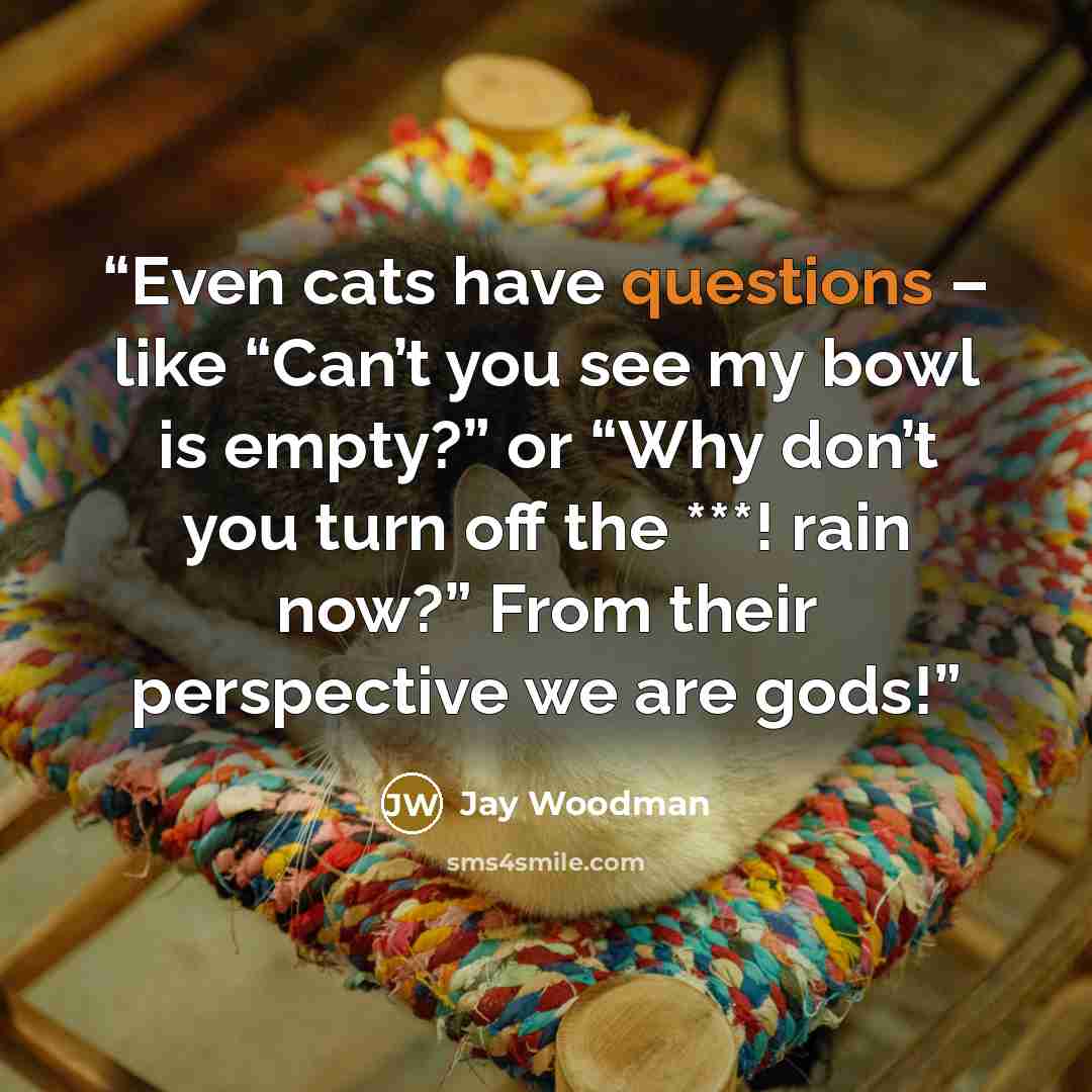 “Even cats have questions – like “Can’t you see my bowl is empty?” or “Why don’t you turn off the ***! rain now?” From their perspective we are gods!” quote by Jay Woodman