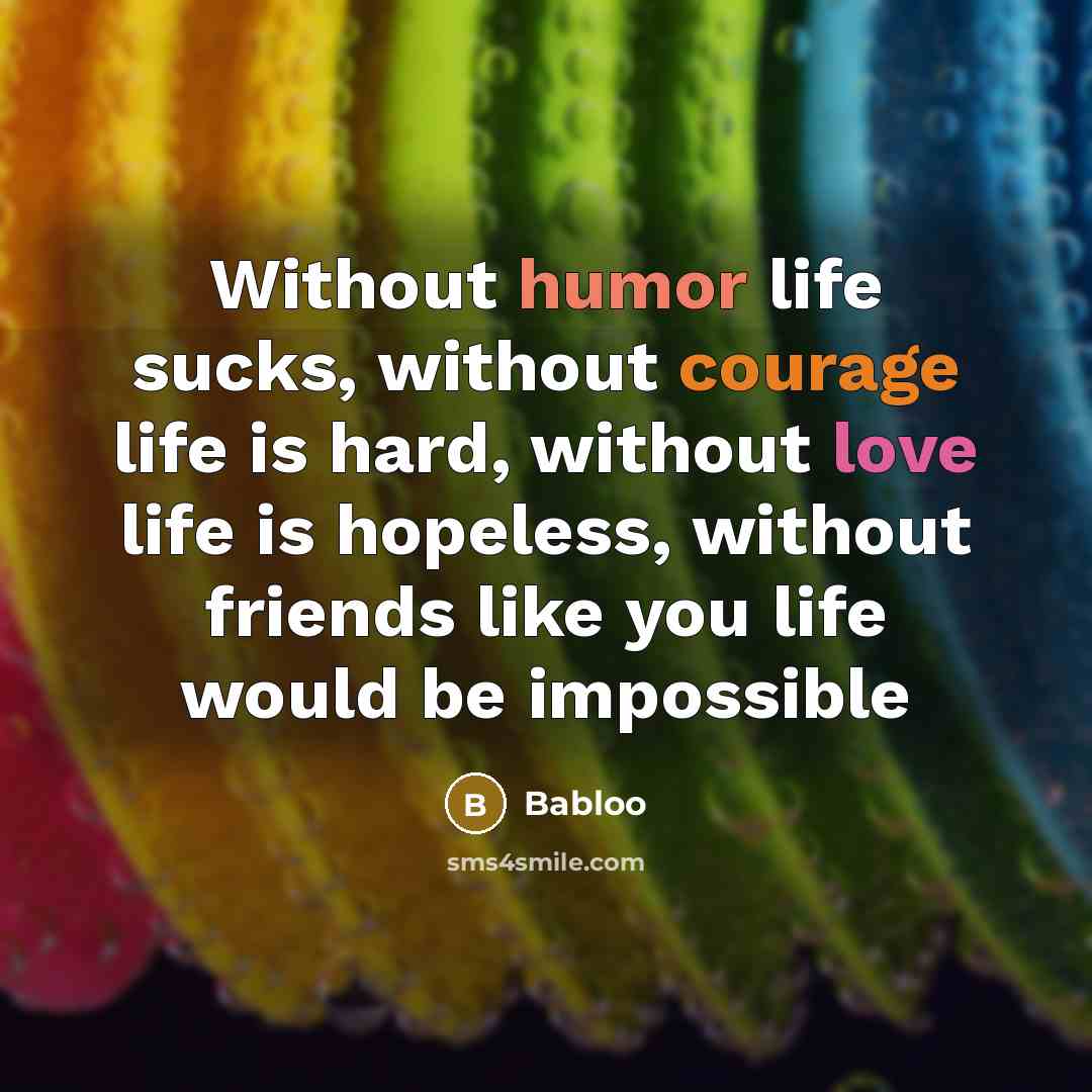 “Without humor life sucks, without courage life is hard, without love life is hopeless, without friends like you life would be impossible” quote by Babloo