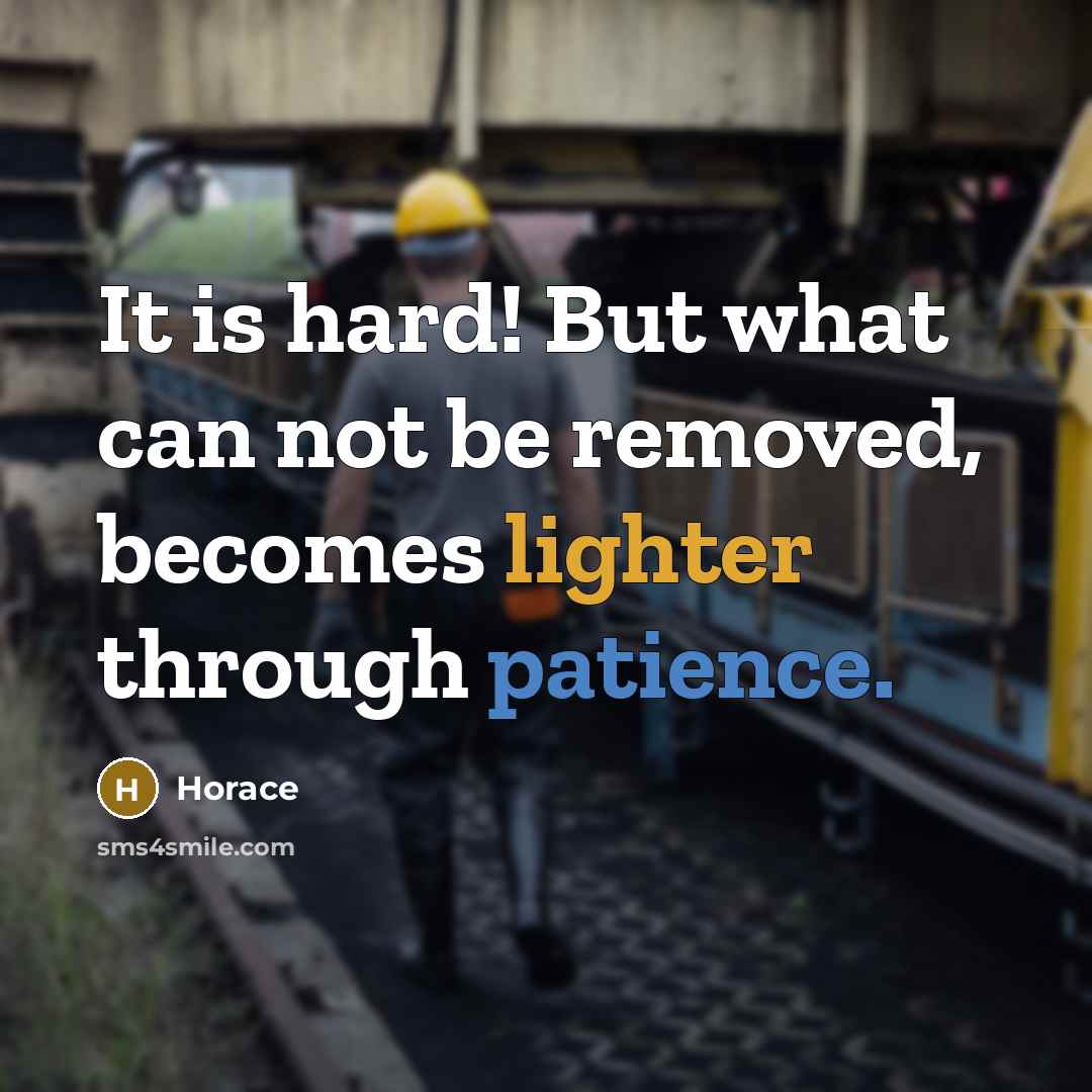 “It is hard! But what can not be removed, becomes lighter through patience.” quote by Horace