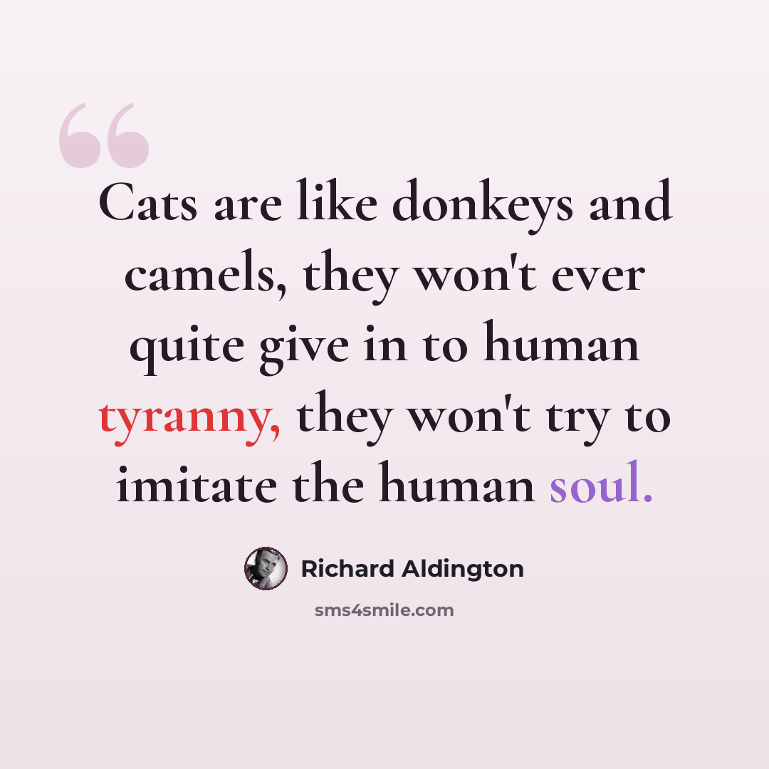 “Cats are like donkeys and camels, they won't ever quite give in to human tyranny, they won't try to imitate the human soul.” quote by Richard Aldington