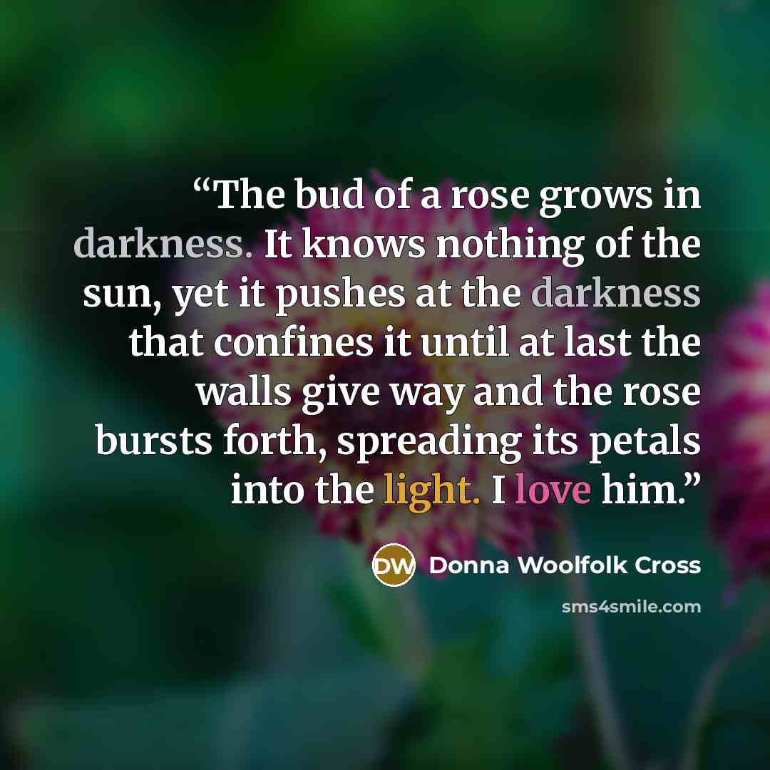 “The bud of a rose grows in darkness. It knows nothing of the sun, yet it pushes at the darkness that confines it until at last the walls give way and the rose bursts forth, spreading its petals into the light. I love him.” quote by Donna Woolfolk Cross