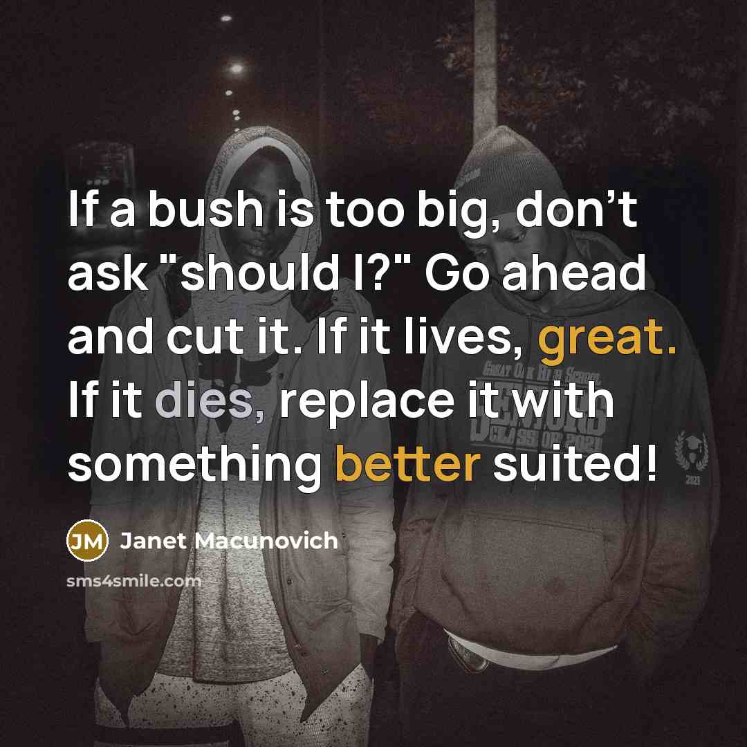 “If a bush is too big, don't ask "should I?" Go ahead and cut it. If it lives, great. If it dies, replace it with something better suited!” quote by Janet Macunovich