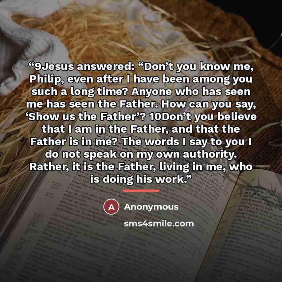 “9Jesus answered: “Don’t you know me, Philip, even after I have been among you such a long time? Anyone who has seen me has seen the Father. How can you say, ‘Show us the Father’? 10Don’t you believe that I am in the Father, and that the Father is in me? The words I say to you I do not speak on my…” quote by Anonymous