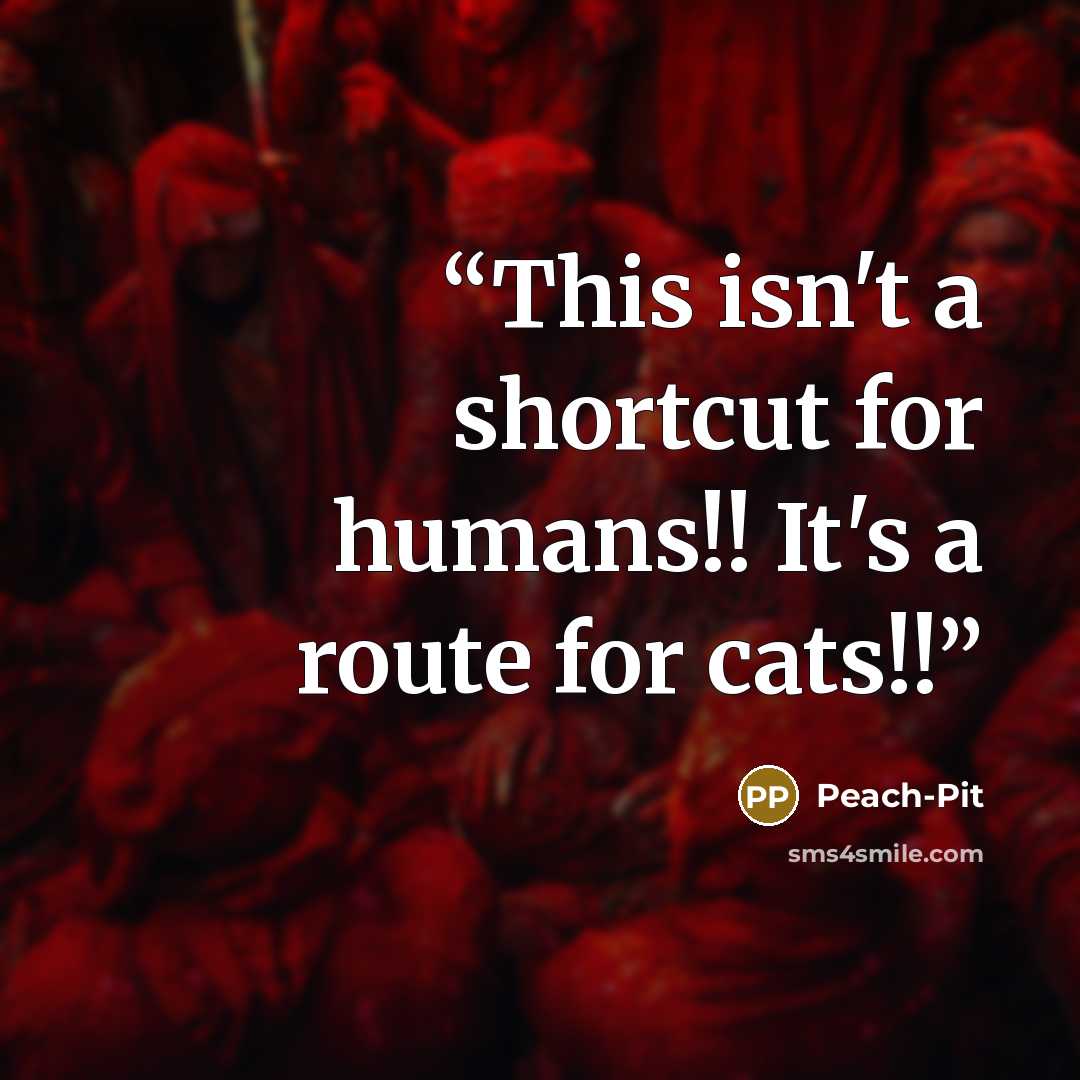 “This isn't a shortcut for humans!! It's a route for cats!!” quote by Peach-Pit