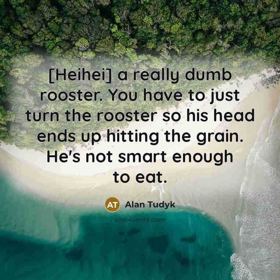 “[Heihei] a really dumb rooster. You have to just turn the rooster so his head ends up hitting the grain. He's not smart enough to eat.” quote by Alan Tudyk
