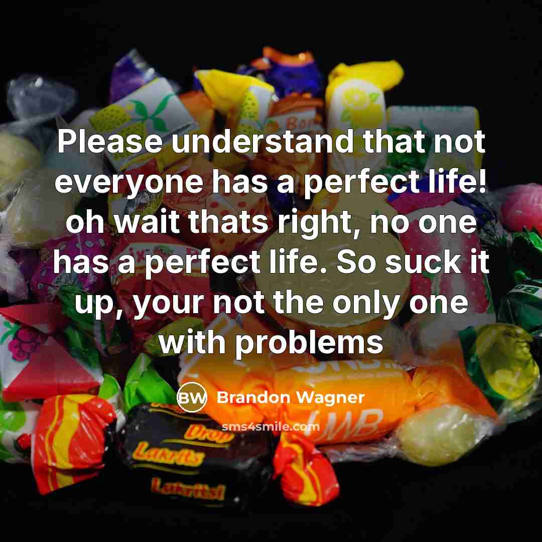 “Please understand that not everyone has a perfect life! oh wait thats right, no one has a perfect life. So suck it up, your not the only one with problems” quote by Brandon Wagner